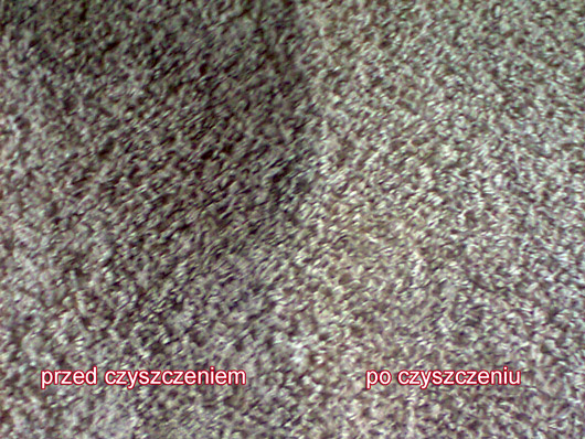 Efekt czyszczenia dywanu - www.pranie-gorzow.pl